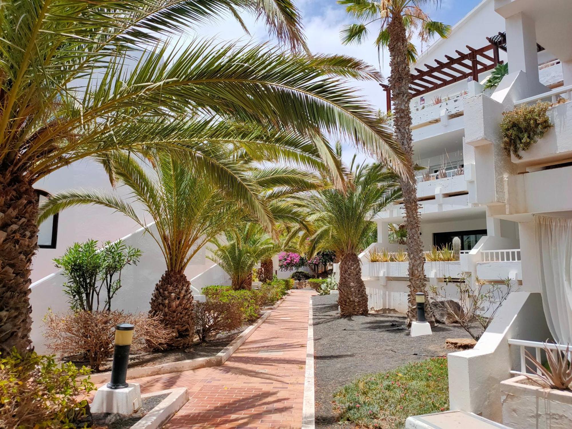 Flor De Cactus Apartment Costa Teguise Bilik gambar